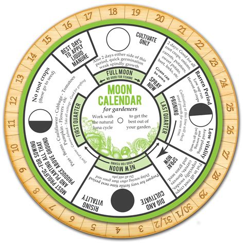 lunar cocking calendar guide|Plant and sow in the garden according to the lunar .